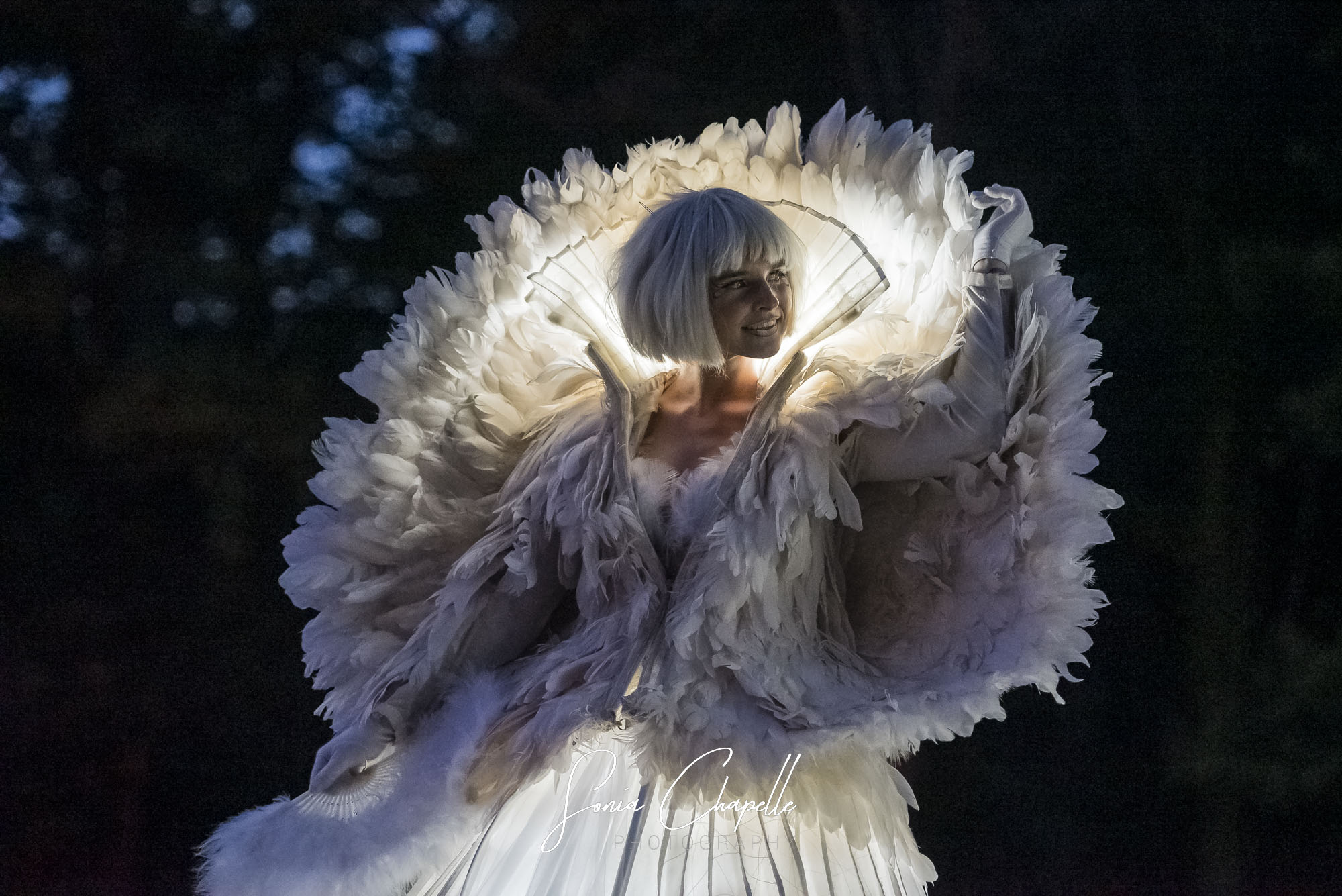 Nuits du Château de Jehay à Liège Spectacle de Cirque