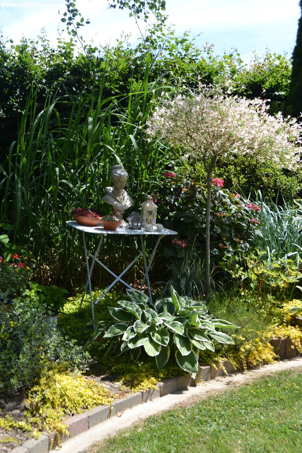 Jardin ouvert à Verlain – Neufchateau