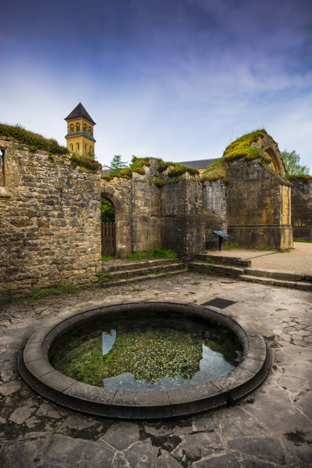 PIERRES D’ORVAL - Exposition Photos