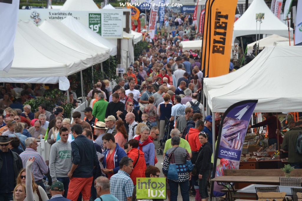 foire de Libramont