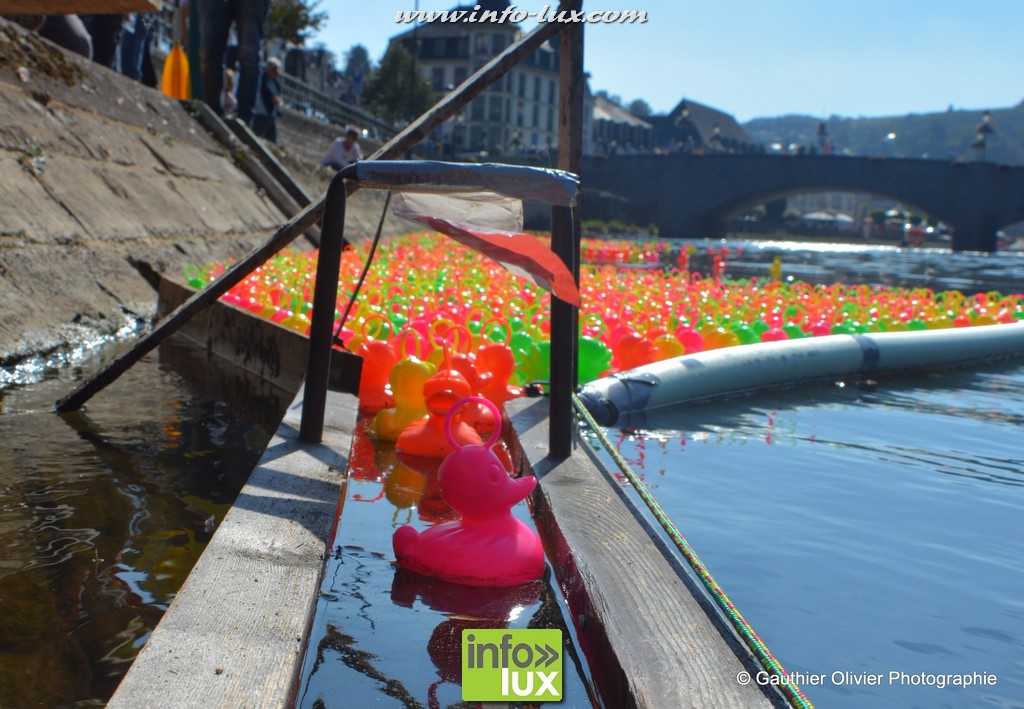 Course de canards sur la Semois - Bouillon