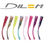DILEM3 - Copie