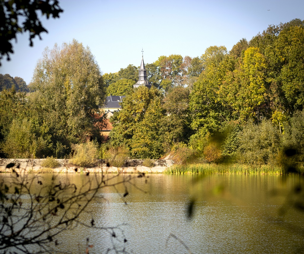 Balade nature aux étangs de Latour – Virton