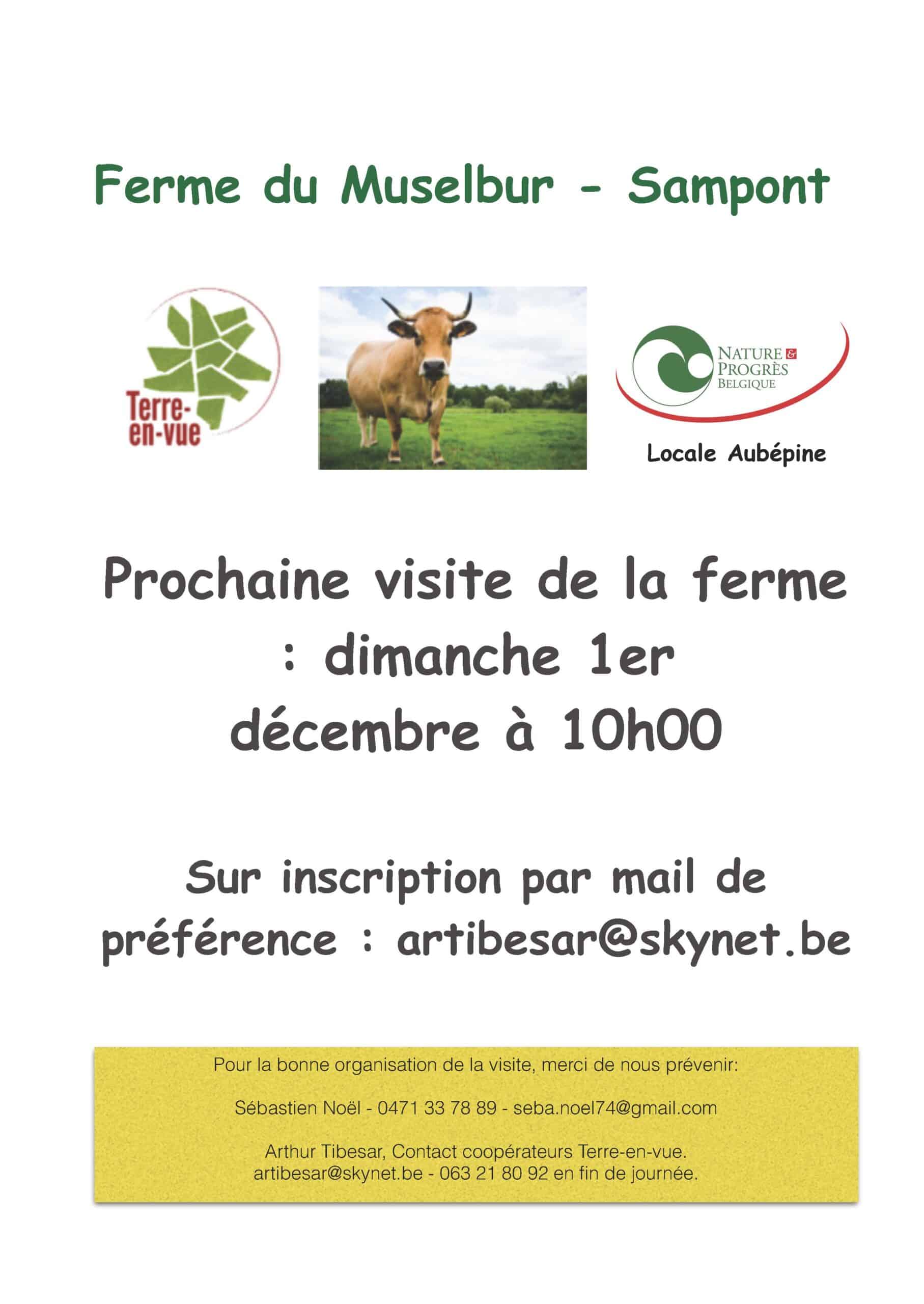 Annonce visite NP 01 12