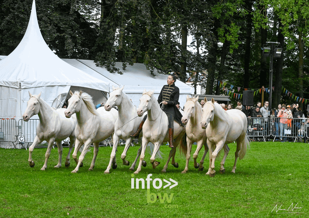 Les journées du cheval à Braine-l’Alleud : un week-end de passion équestre sous un soleil radieux! Retrouvez les photos!