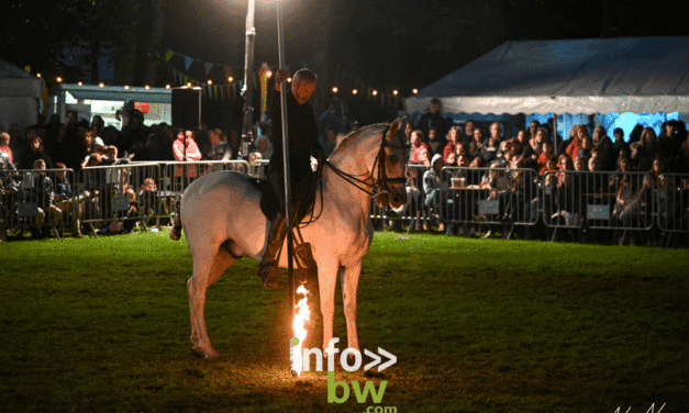 Braine-l’Alleud > Journées du Cheval > Photos