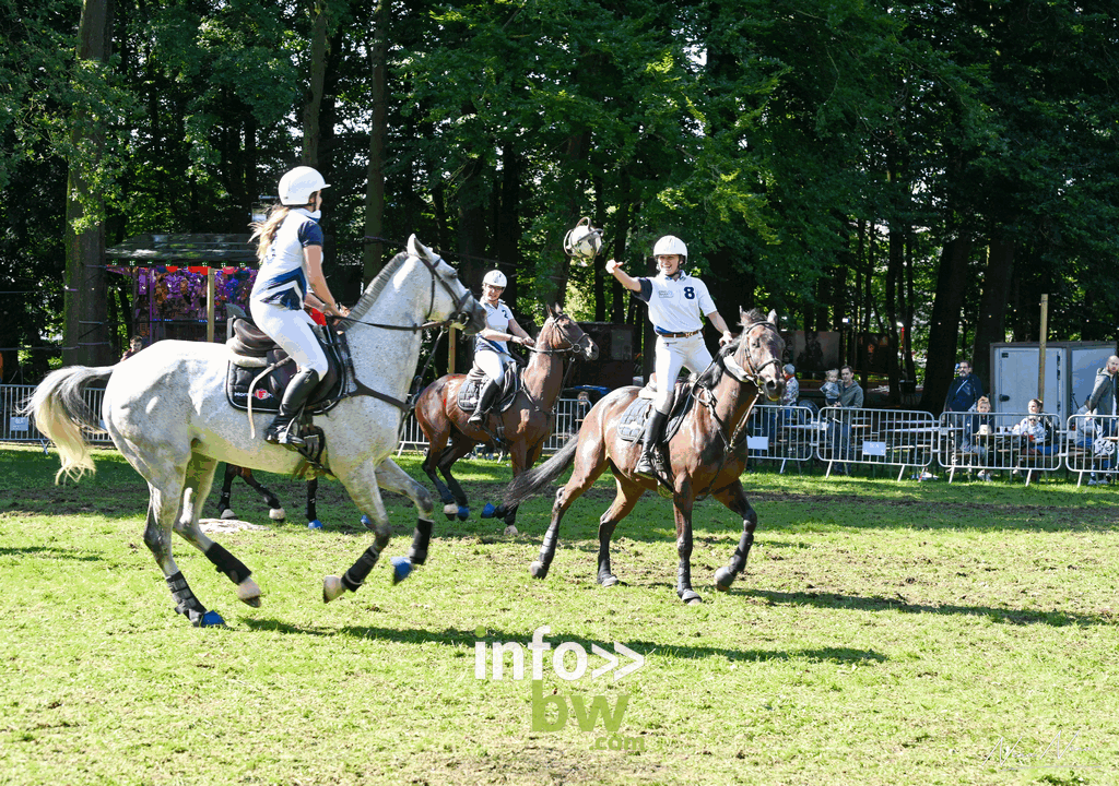 Les journées du cheval à Braine-l’Alleud : un week-end de passion équestre sous un soleil radieux! Retrouvez les photos!