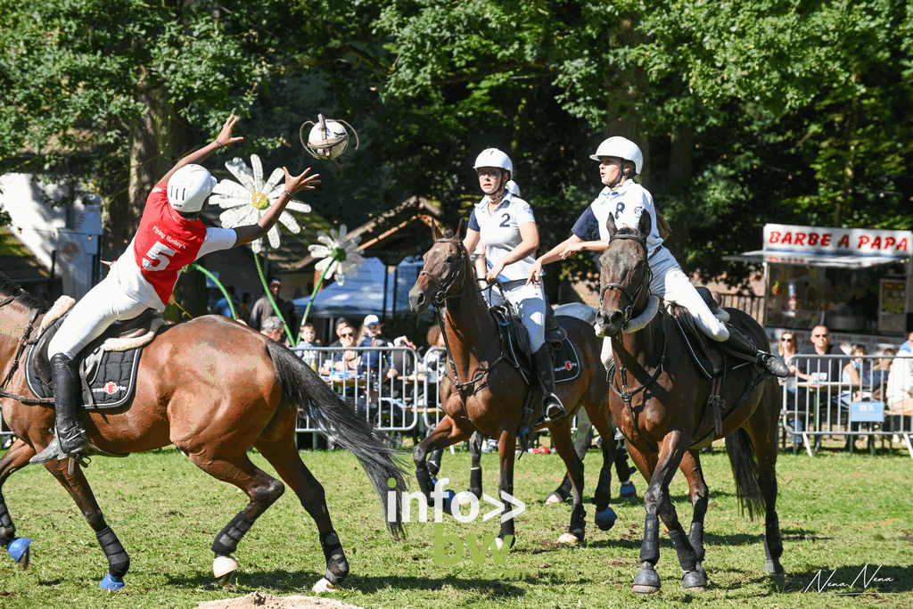 Les journées du cheval à Braine-l’Alleud : un week-end de passion équestre sous un soleil radieux! Retrouvez les photos!