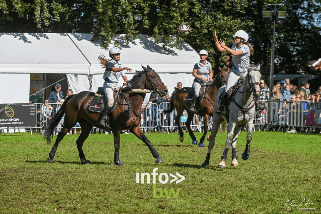 Les journées du cheval à Braine-l’Alleud : un week-end de passion équestre sous un soleil radieux! Retrouvez les photos!