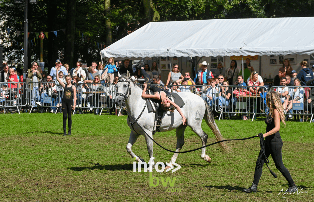 Les journées du cheval à Braine-l’Alleud : un week-end de passion équestre sous un soleil radieux! Retrouvez les photos!