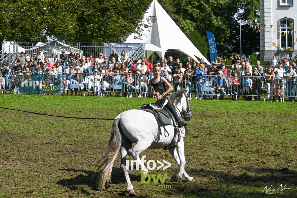 Les journées du cheval à Braine-l’Alleud : un week-end de passion équestre sous un soleil radieux! Retrouvez les photos!