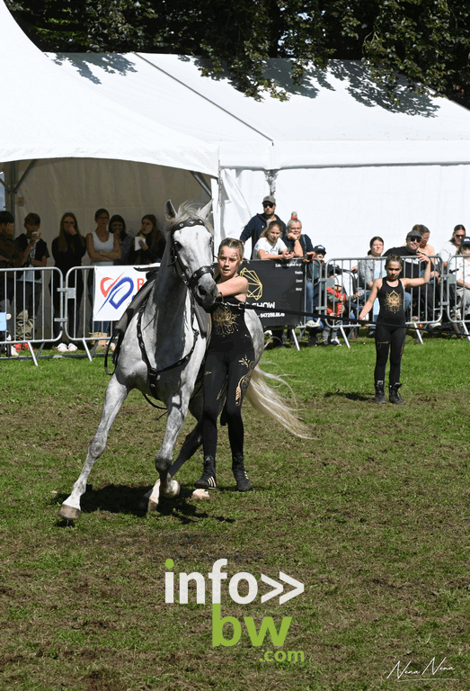 Les journées du cheval à Braine-l’Alleud : un week-end de passion équestre sous un soleil radieux! Retrouvez les photos!