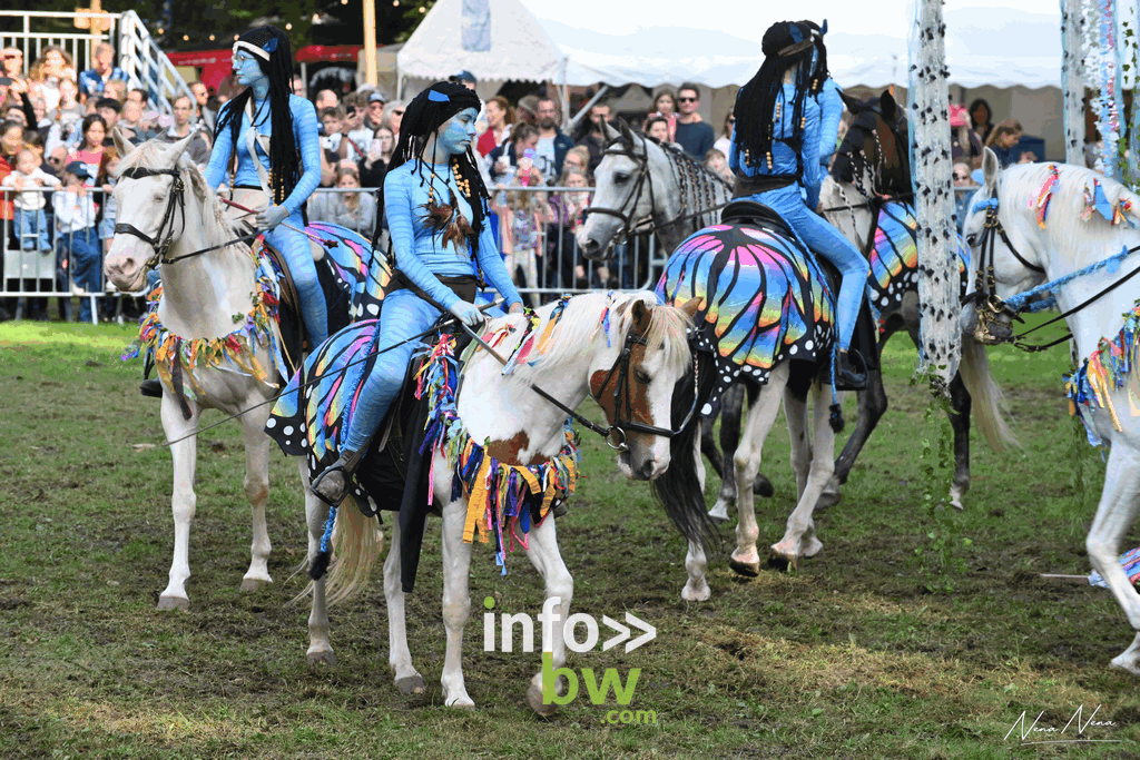 Les journées du cheval à Braine-l’Alleud : un week-end de passion équestre sous un soleil radieux! Retrouvez les photos!