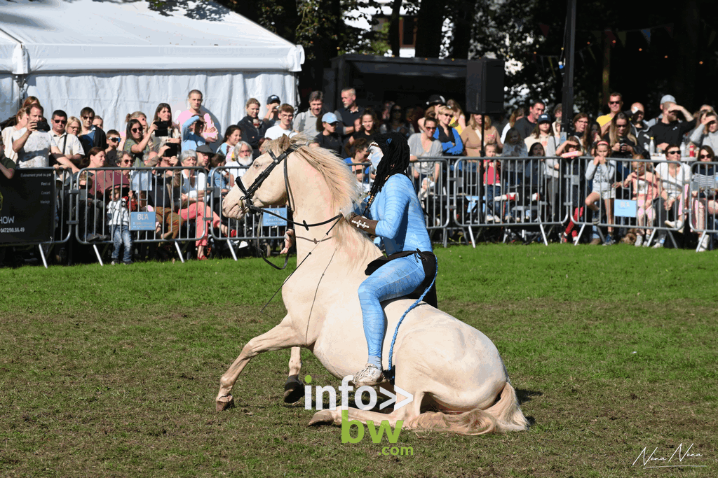 Les journées du cheval à Braine-l’Alleud : un week-end de passion équestre sous un soleil radieux! Retrouvez les photos!