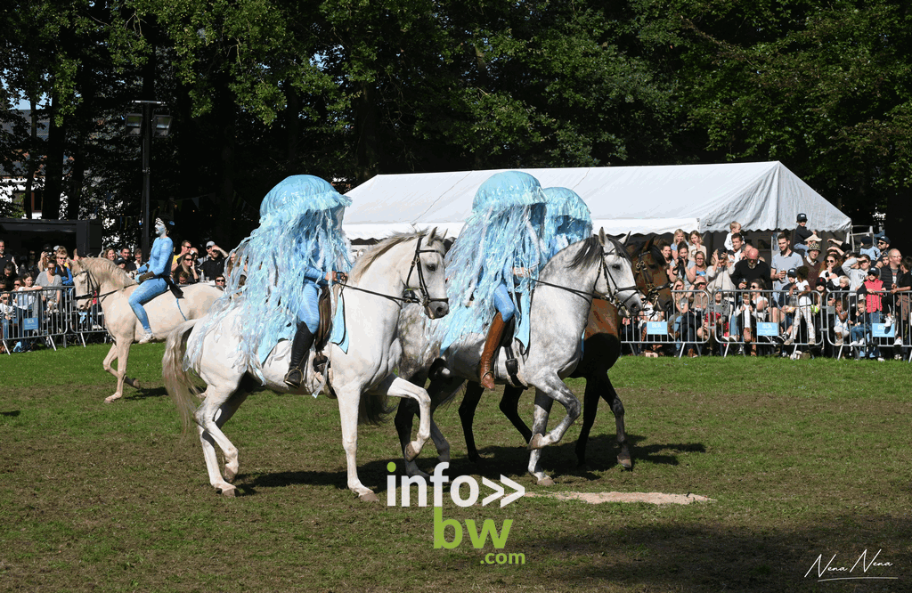 Les journées du cheval à Braine-l’Alleud : un week-end de passion équestre sous un soleil radieux! Retrouvez les photos!