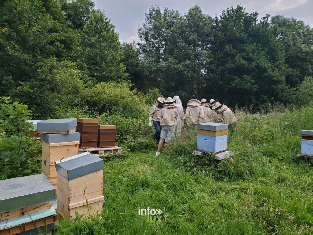 Les abeilles à votre service