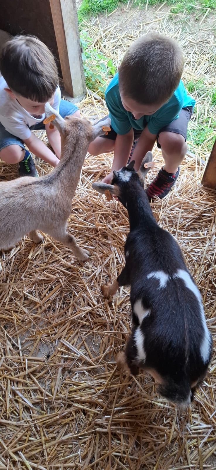 Fêtez l'anniversaire de vos enfants au Kid's Corner de Braine-l'Alleud !