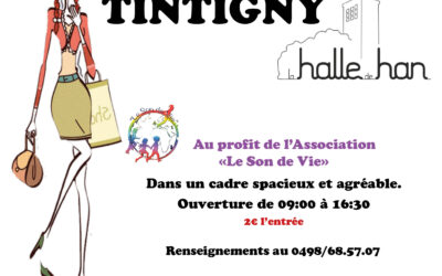 Tintigny > Vide-Dressing