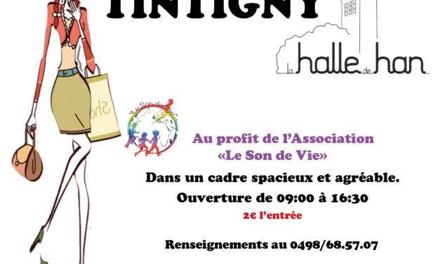 Tintigny > Vide-Dressing