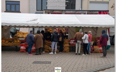 Florenville > Fête de la pomme de terre >