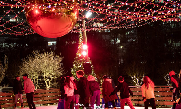 PARIS > PARC ANDRE CITROEN > PATINS EN FOLIE