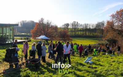 Braine-l’Alleud > un enfant > un arbre