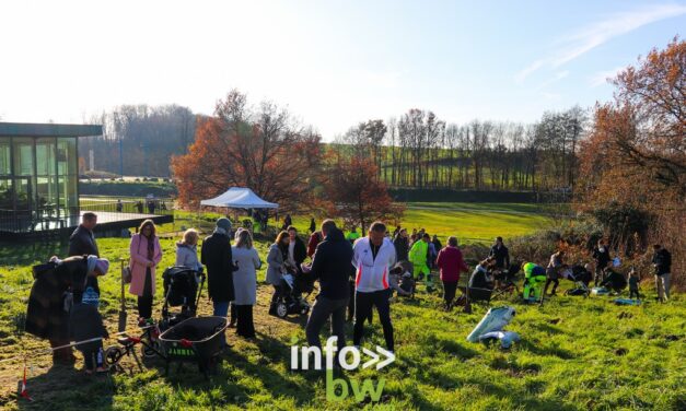 Braine-l’Alleud > un enfant > un arbre