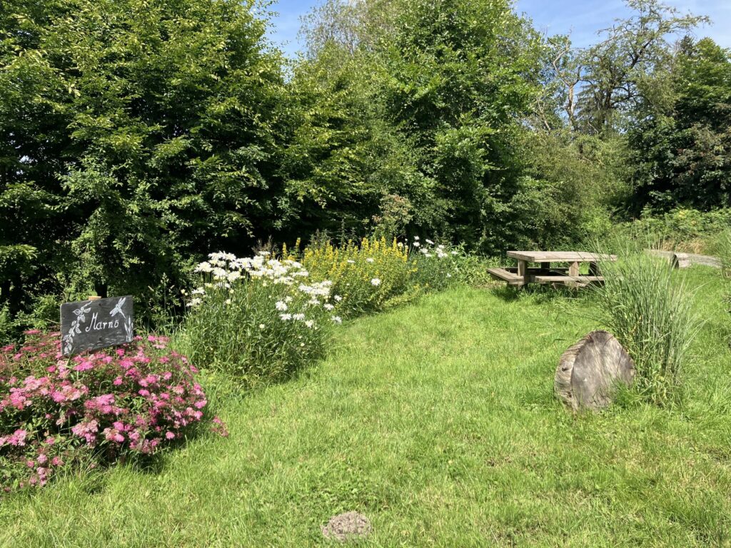 Neufchâteau > Wallonie en Fleurs