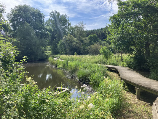 Neufchâteau > Wallonie en Fleurs